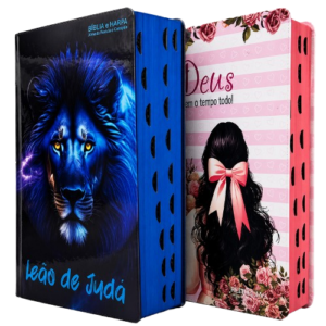 Kit 2 Bíblias Sagrada Tamanho Médio 12,5x19 cm Com Harpa Palavras de Jesus em Vermelho